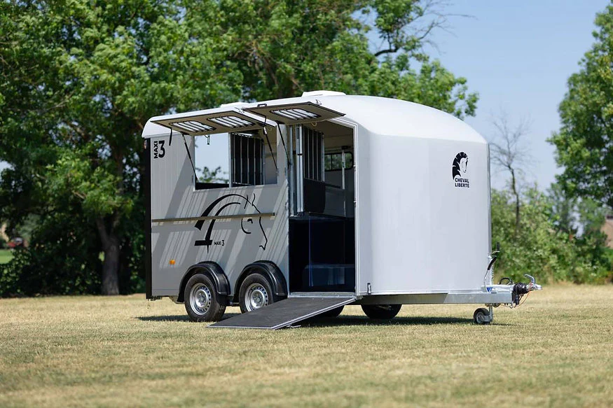 ChevalLiberte_MinimaxDiagonal_Maxi3_3Places3.webp